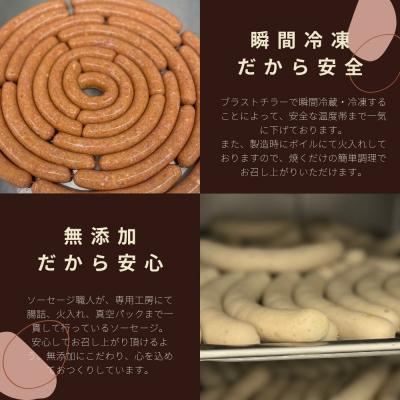 ふるさと納税 京都市 【ジャングルケイブ】肉感たっぷり 手作り無添加ソーセージ(鶏と瀬戸内レモンピール)5本×約100g |  | 02