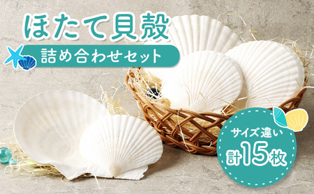 ほたて貝殻詰め合わせ【13001】