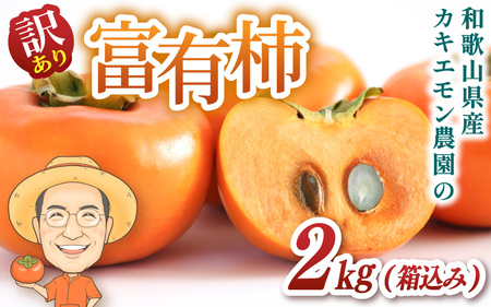富有柿 約2kg(箱込) 【訳あり・ご家庭用】カキエモン農園 【2025年11月下旬～12月下旬頃順次発送】【BX-kkem031】