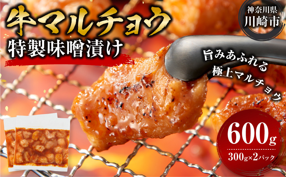 ＜訳アリ＞牛マルチョウ　特製味噌漬け　0.6kg(300g×2）【2026年9月発送】 141305_KZ29VC09
