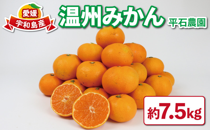 
                  愛媛みかん 温州みかん 7.5kg 家庭用 平石農園 みかん mikan 愛媛ミカン 愛媛蜜柑 温州 蜜柑 果物 くだもの フルーツ 柑橘 産地直送 農家直送 数量限定 国産 宇和島 B010-017008
                