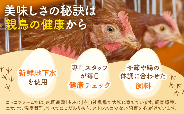 コッコファームのたまご 40個 コッコファーム《90日以内に出荷予定(土日祝除く)》熊本県 菊池市 卵 鶏卵 玉子 たまご 家庭用 熊本県産 九州産 冷蔵 送料無料