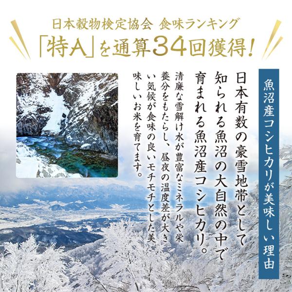 【新米予約　令和7年産米】魚沼コシヒカリ 米屋五郎兵衛2kg 選べる配送時期 お米 精米 こめ ご飯 白米 令和8年4月下旬