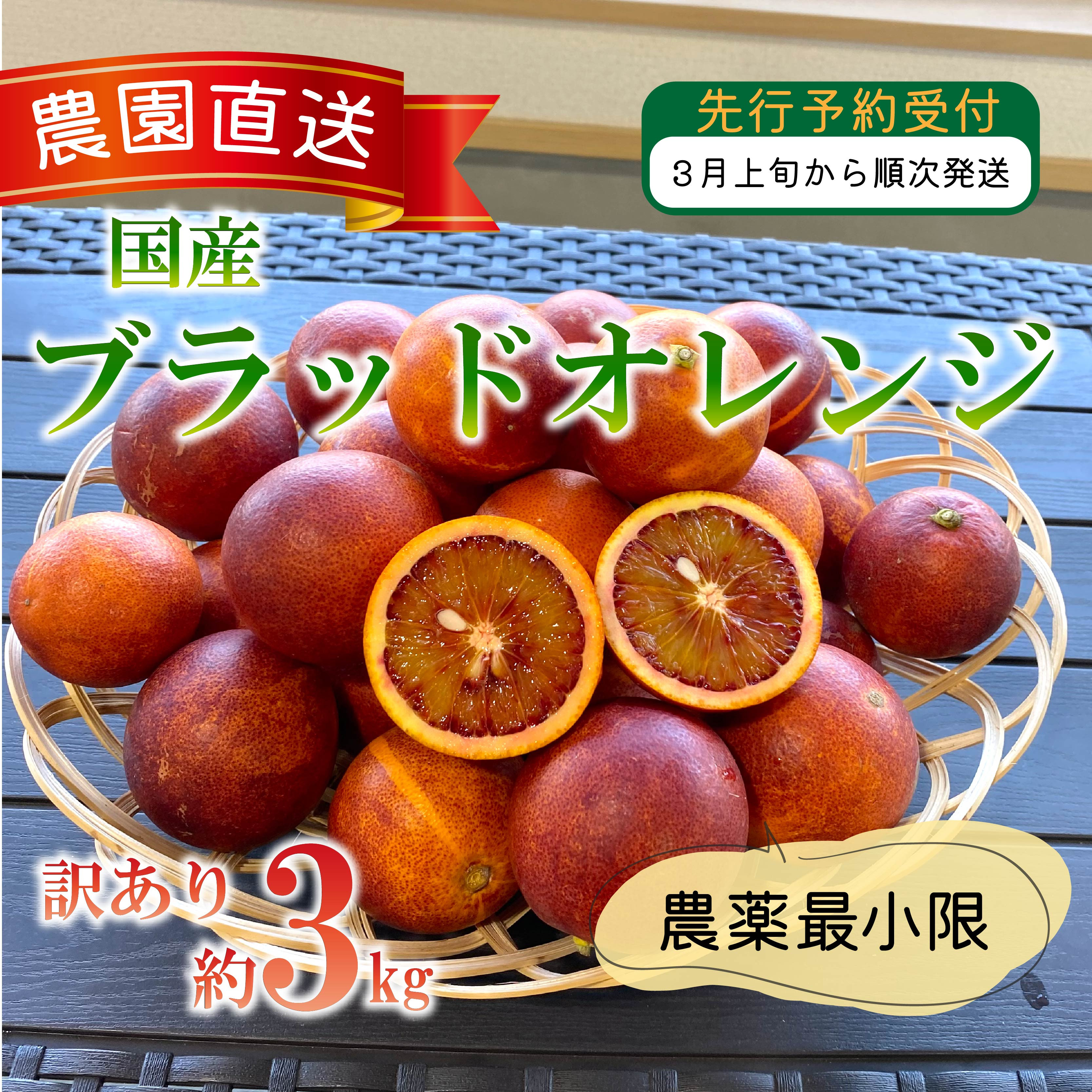 
            訳あり 西浦 国産 ブラッドオレンジ 3kg 西浦 柑橘 ブラット オレンジ 木負観光みかん園
          