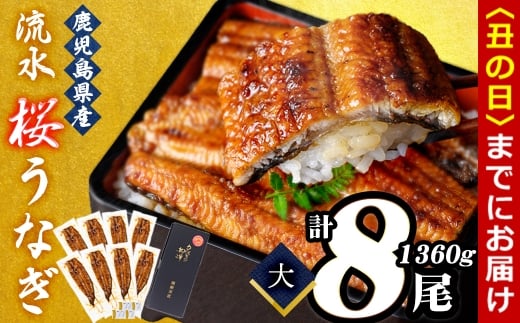 【丑の日までに配送】熟練の技が冴える！うなぎの柳澤 流水桜うなぎの蒲焼き8尾(計1360g) f0-023-us