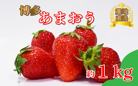 【4月まで発送】グランデ あまおう 約270ｇ×4p いちご｜イチゴ SBS001