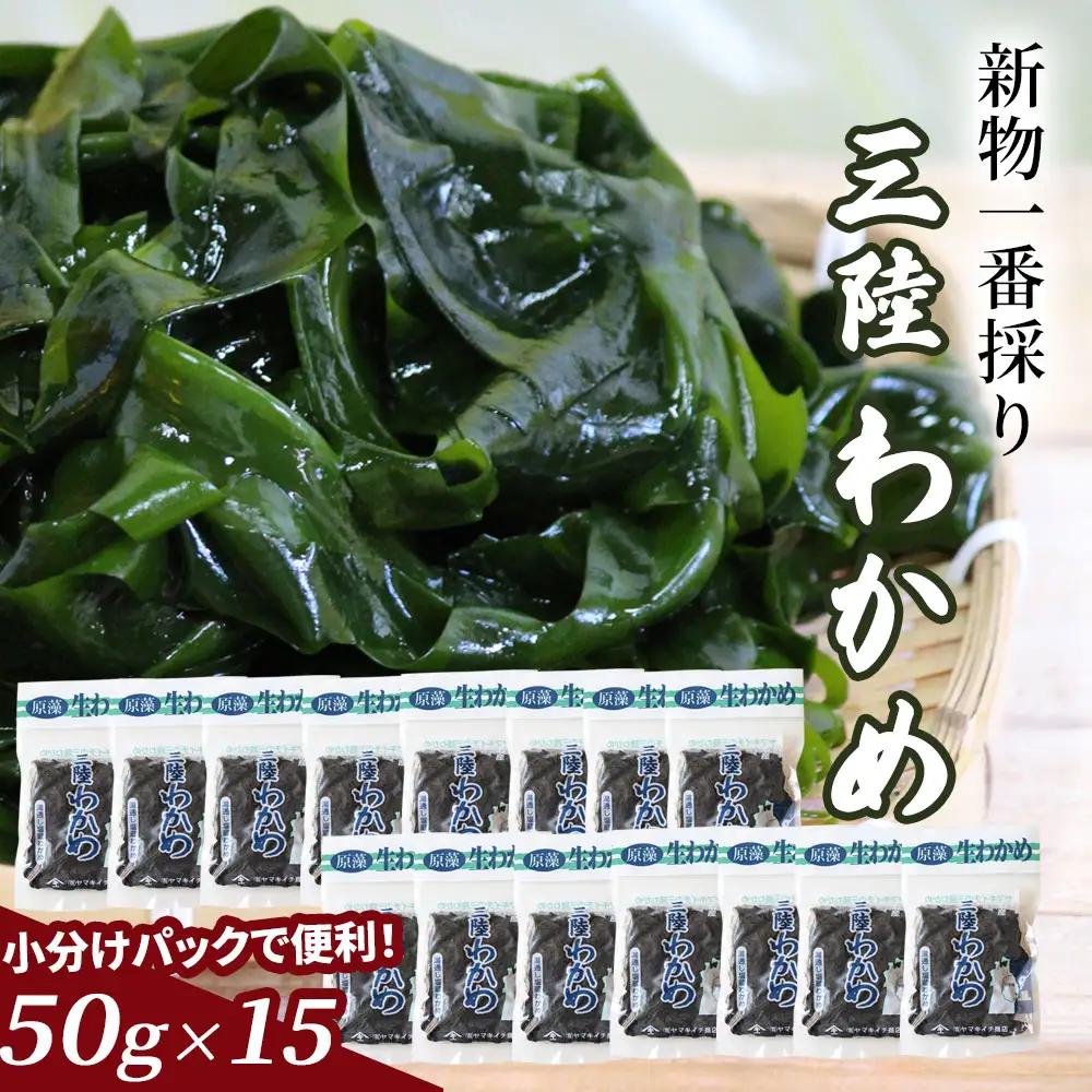 fn-39-011 一番採り三陸わかめ（塩蔵）小分けセット 50g×15 ヤマキイチ商店 海藻 三陸 健康