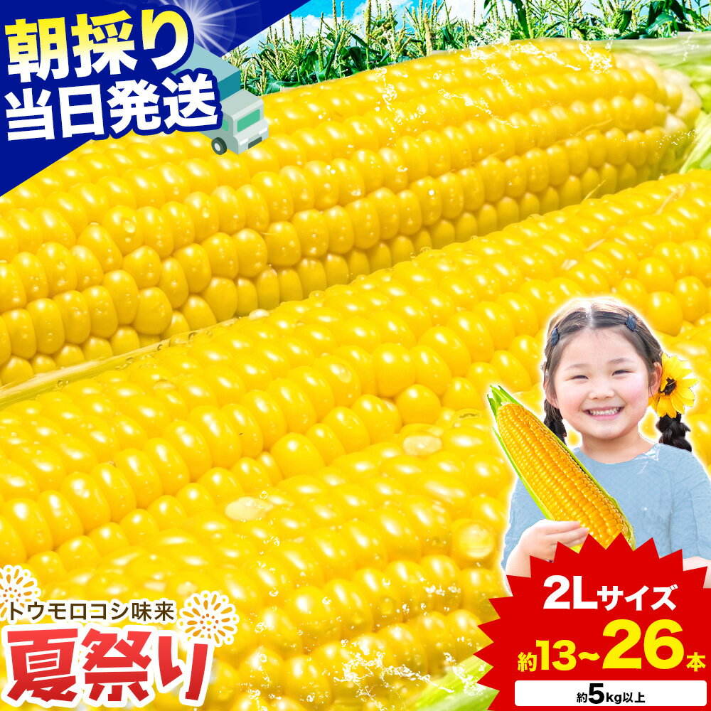 【ふるさと納税】新登場★ トウモロコシ 味来 【収穫後当日出荷！】 夏祭り 選べる 約5kg 約10kg 13本前後 26本前後 《6月中旬-7月中旬頃出荷予定》 茨城県 結城市 野菜 甘味が強い 柔らかい ジューシー フルーティー 夏野菜 コーン【配送不可地域あり】
