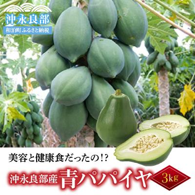 ふるさと納税 和泊町 酵素たっぷり「青パパイヤ」3キロ |  | 01