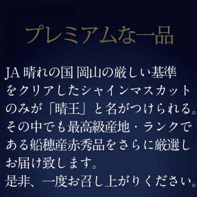 ふるさと納税 浅口市 【発送月固定定期便】HS/2026年先行予約9月/10月2回発送最高級品晴王2房約1.2kg全2回 |  | 01
