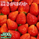 【ふるさと納税】【2025年2月発送開始予定】さがほのか 約800g 約400g×2パック いちご イチゴ 苺 フルーツ くだもの 果物 九州 宮崎 送料無料