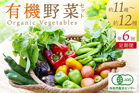【年6回定期便】＜てんとうむしばたけ＞オーガニック野菜セット　有機野菜11～12種(4人用)