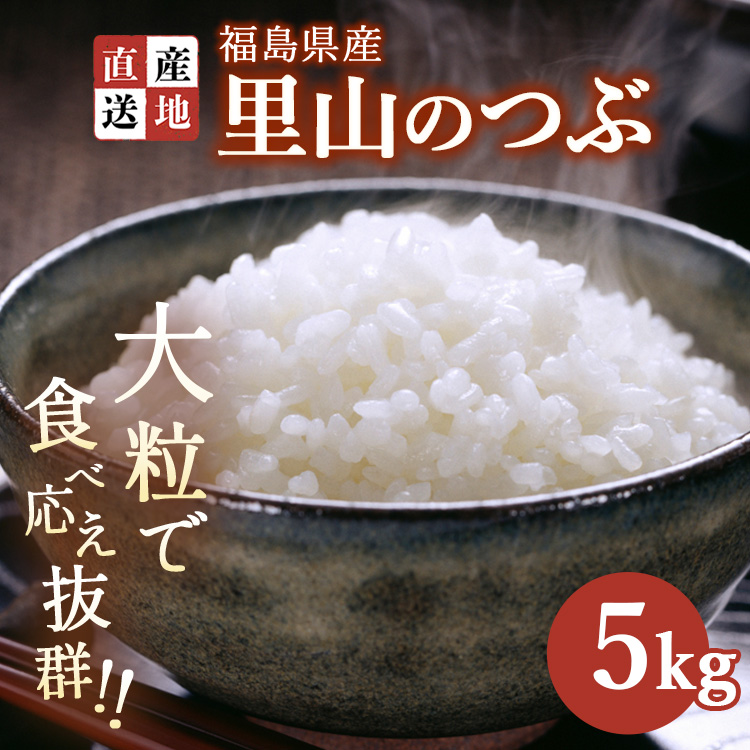 令和7年産 新米 里山のつぶ 5kg ｜ 白米 精米 生産者直送 産地直送 猪苗代産 はんざわエコファーム ※沖縄・離島への配送不可