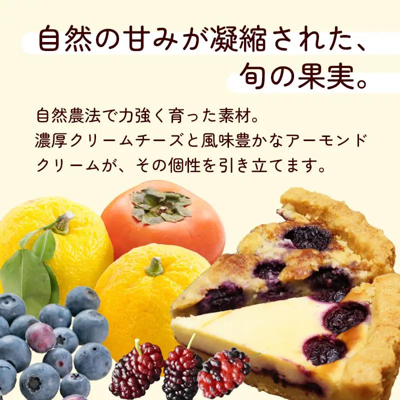 季節のおまかせタルト 8ピース ベイクドタルト