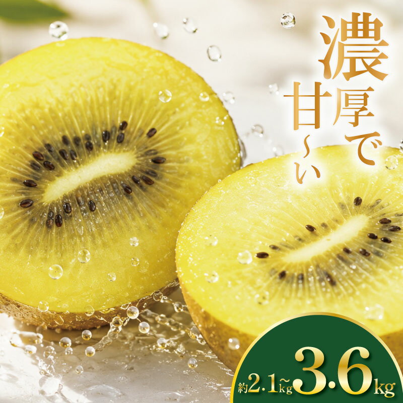 【ふるさと納税】 訳あり キウイ ゴールドキウイ 選べる 容量 約2.1kg~3.6kg S~Mサイズ イエロージョイ 先行予約 糖度 16度 キウイフルーツ 期間限定 果物 ビタミンC 新鮮 旬 デザート 国産 ギフト 贈り物 贈答 送料無料 吉野川市 徳島県 くゆな農園