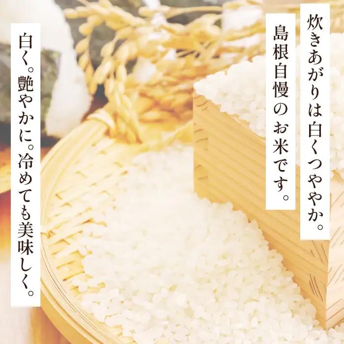 【定期便】「きぬむすめ」（精米5kg）とご飯のおとも「石見銀山和牛しぐれ」(5回お届け) 【米 定期便 お米 5kg 5回 きぬむすめ こめ おこめ 精米 5kg×5回 和牛しぐれ 1袋 50g×5回