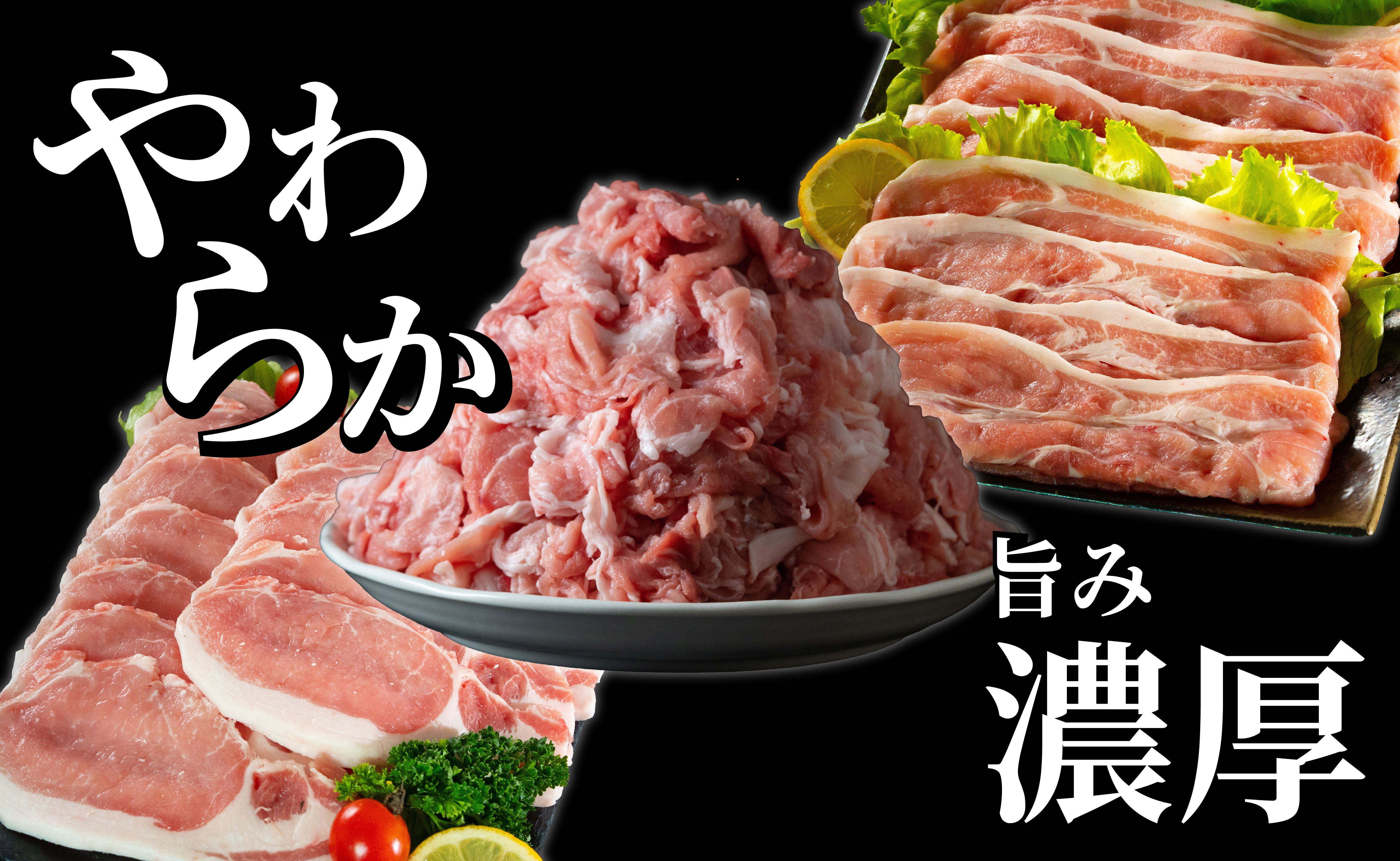 B621 《定期便》長崎県産豚 食べ比べ 梅コース【3回お届け】