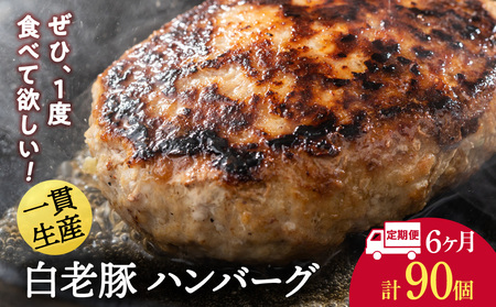 【定期便 6カ月】 北海道産 白老豚 ハンバーグ 120ｇ×15個 セット BV035