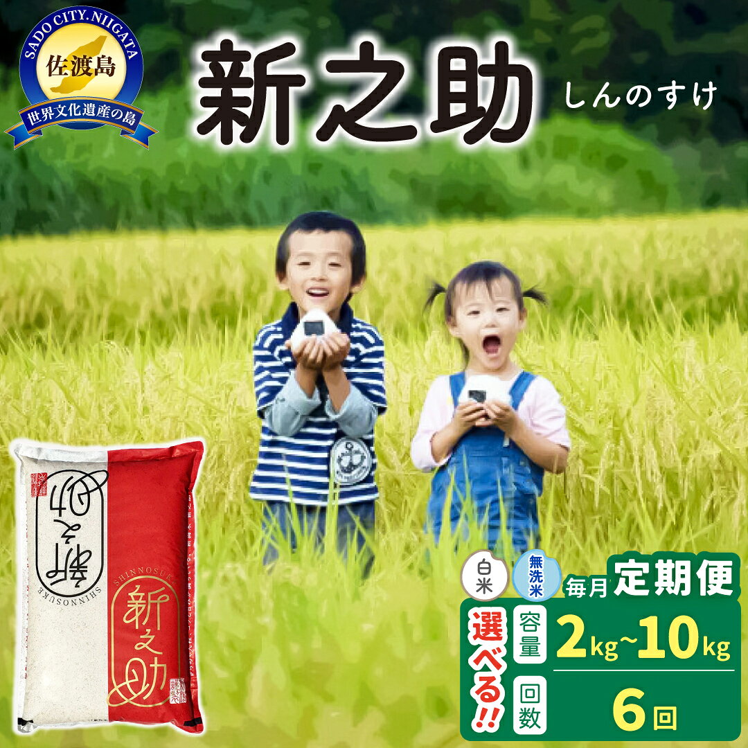【ふるさと納税】【6か月定期便】佐渡島産 新之助 白米 or 無洗米 選べる容量 2Kg 4Kg 5Kg 10Kg 令和8年