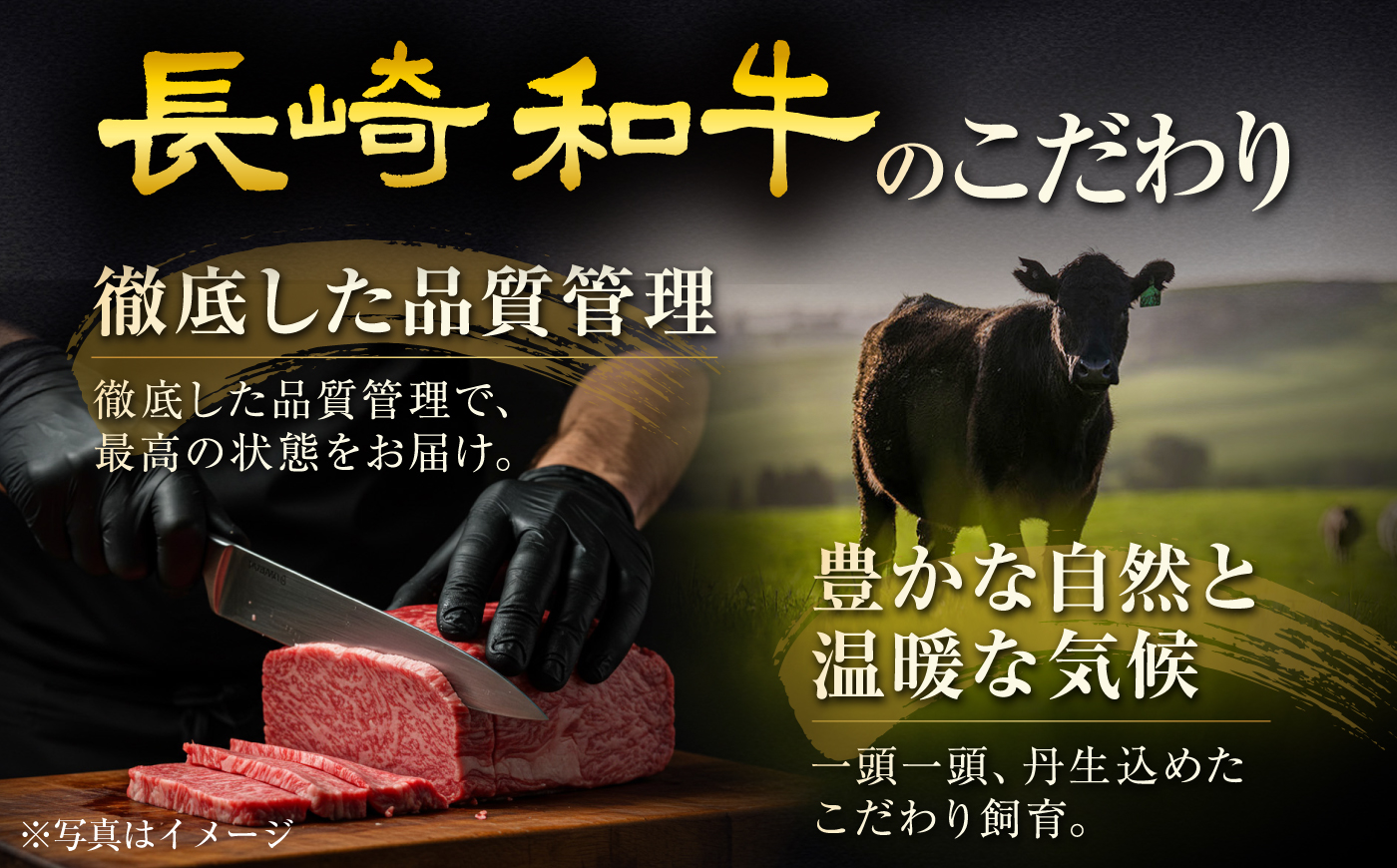 【12回定期便】長崎和牛ヒレステーキ 約200g×3枚/回 /ヒレ定期便 定期便 ステーキ すてーき ヒレ ひれ ヒレ ヒレステーキ ヒレ肉 和牛 牛肉 肉 牛 / 大村市 / まるしん商会 [ACC