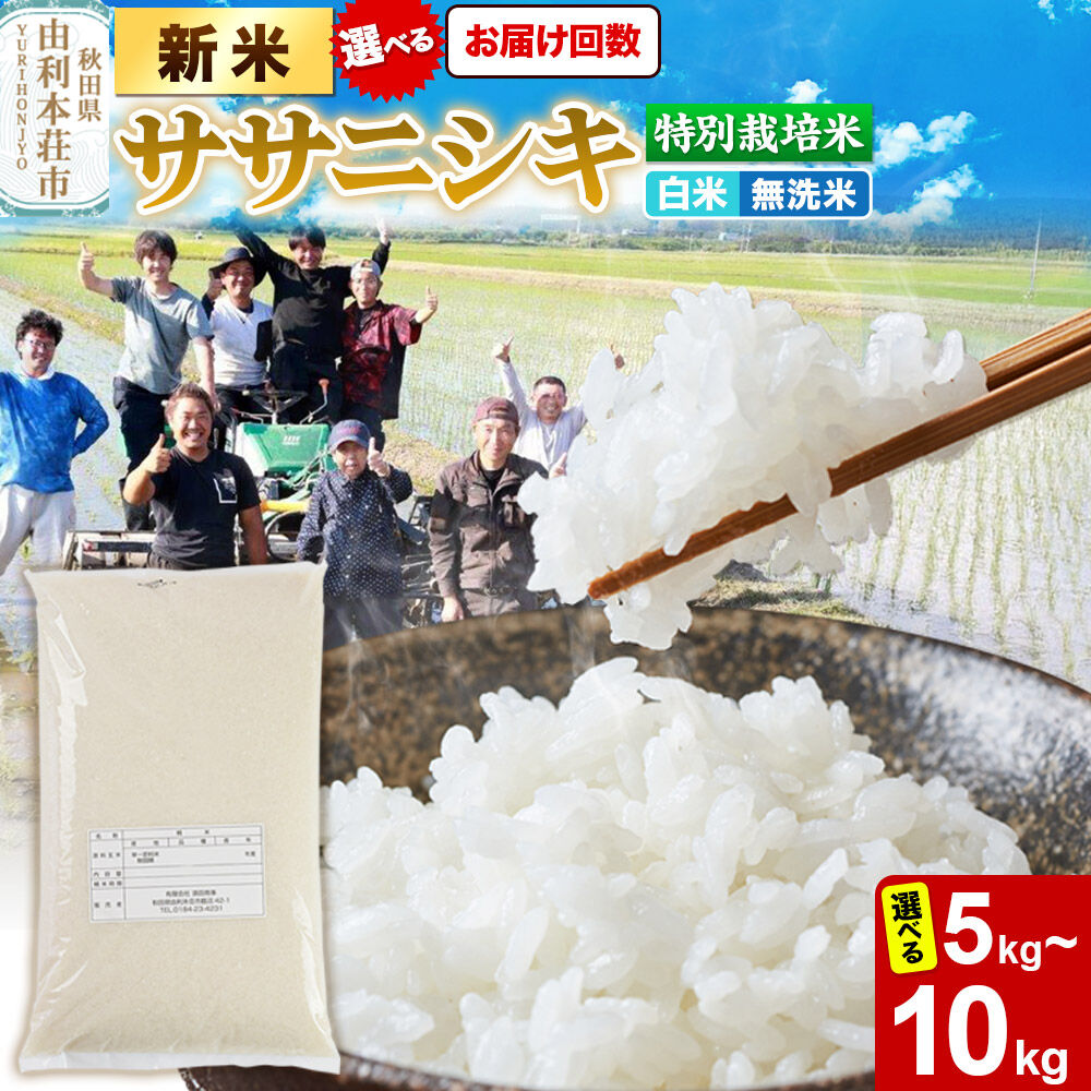 【ふるさと納税】《令和8年産 新米》【白米／無洗米】特別栽培米 ササニシキ 秋田県産【選べる 容量：5kg・10kg（5kg×2袋） ／お届け回数1回〜】 [ササニシキ 新米 米 お米 こめ 白米 無洗米 精米 ブランド米 食卓 おにぎり 秋田県産]