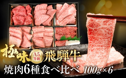 【2月発送】飛騨牛 焼肉 6種食べ比べ セット 600g(100g×6）| 個包装 希少部位 A5 5等級 飛騨牛 牛肉 焼き肉 やきにく 和牛 牛肉 焼肉 焼き肉セット 焼肉セット 焼き肉牛肉食べ比べ 飛騨牛 牛肉 焼き肉 やきにく 和牛 牛肉 焼肉 焼き肉セット 焼肉セット 焼き肉牛肉食べ比べ 飛騨高山 ながせ食品