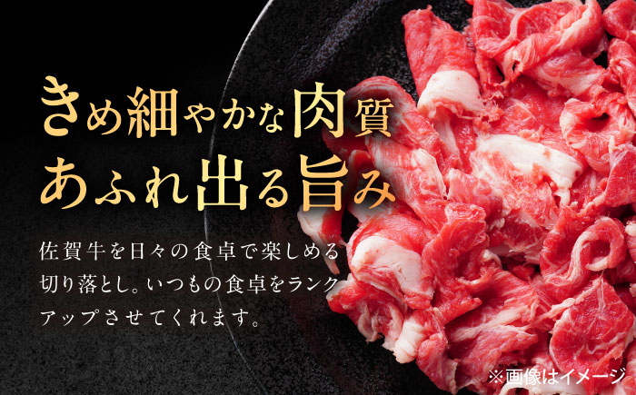 【12回定期便】佐賀牛 切り落とし 1.2kg（600g×2p） /MKミート武雄 [UEM037]