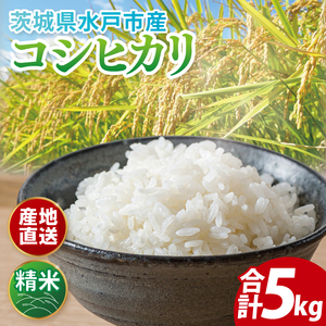 【数量限定】【令和6年度産】茨城県産コシヒカリ 5kg【米 おこめ こしひかり 農家直送 直送 水戸市 茨城県】(ND-2)
