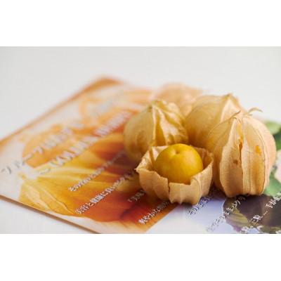 ふるさと納税 日高町 【先行受付】フルーツほおずき　500g |  | 03