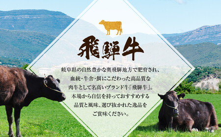 ちょっとリッチな飛騨牛（希少部位）約2.4kg【1月・4月・7月・10月発送】定期便4回  | みすじ ウデ すき焼き しゃぶしゃぶ  希少部位 600g 和牛 国産牛 冷凍 飛騨高山 飛騨牛のこもり