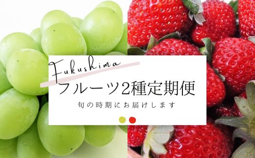 【ふるさと納税】No.2276フルーツ2種定期便 シャインマスカット/いちご【2025年～2026年発送】