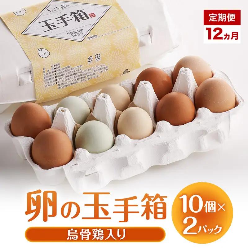 卵 卵の玉手箱 10個×2パック 12ヵ月 定期便 卵