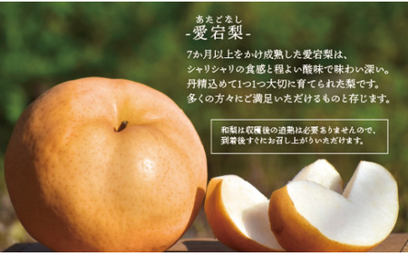 【きよとうファーム】あたご梨 上級品 2玉入(1.0kg級/玉) (岡山県産) 【KF-C004-01】