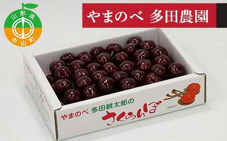 《先行予約》2026年 山形県産 サミット バラ詰700g やまのべ多田耕太郎のさくらんぼ F4A-0997