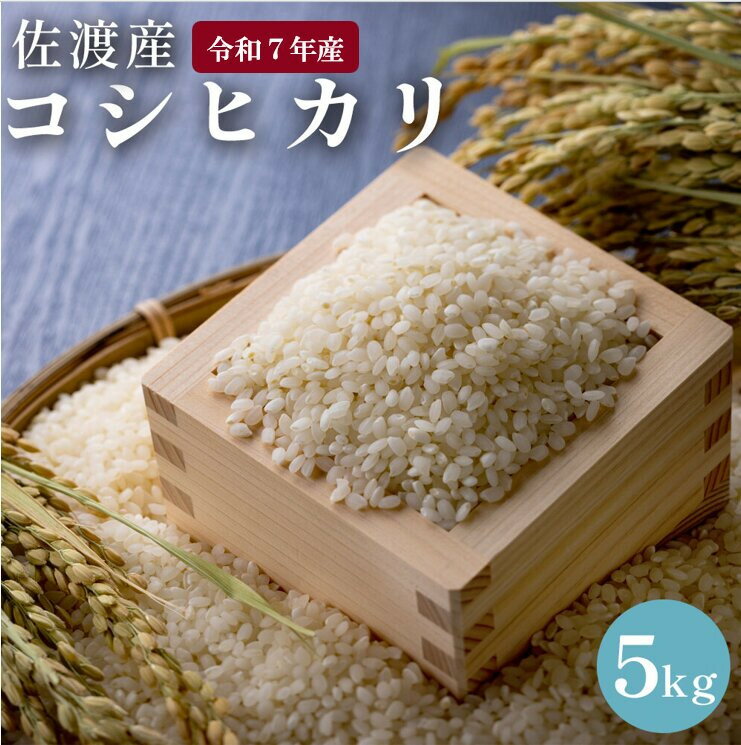 【ふるさと納税】佐渡島産　コシヒカリ　5kg　令和7年産 | お米 こめ 白米 食品 人気 おすすめ 送料無料