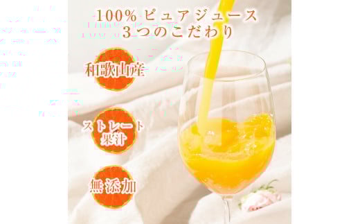 【定期便】伊藤農園 みかんジュース大瓶6本セット(6ヶ月お届け)(A555-1)