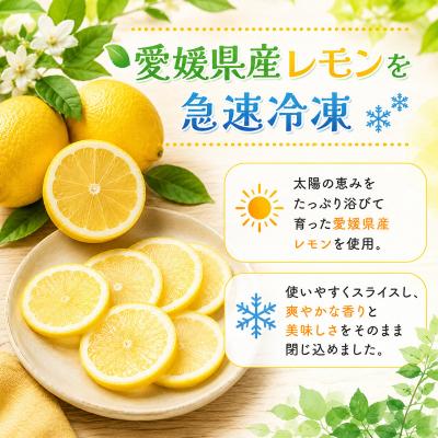 ふるさと納税 愛南町 冷凍レモン 400g×4袋 冷凍柑橘 みかん職人武田屋 |  | 01