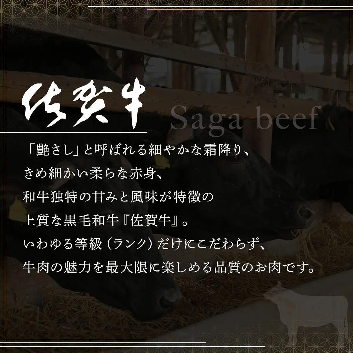 佐賀牛サーロイン・佐賀牛柔らかハンバーグステーキ（計920g） 