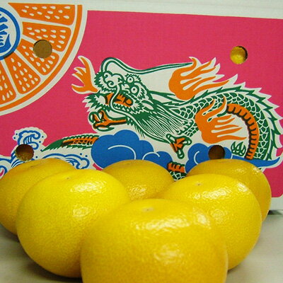 【ふるさと納税】 はっさく 八朔 約 10kg 丸龍はっさく 柑橘 みかん 蜜柑 果物 くだもの フルーツ スイーツ ジュース ゼリー 期間限定 数量限定 香川県 丸亀市