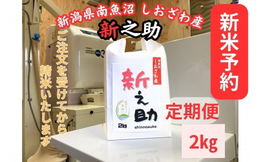 【令和8年産・新米予約・定期便】新潟県南魚沼産　新之助　2kg×３か月　大粒でツヤがあるこれまでにないお米【定期便 銘柄米 ブランド米 精米 新之助 魚沼産 新潟米】【2026年10月中旬より1ヶ月以内に順次発送予定】
