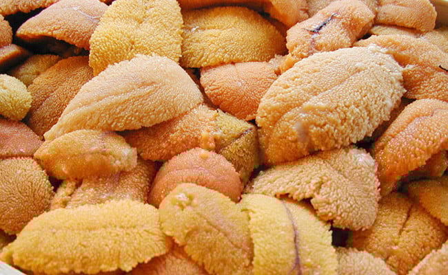 えぞバフンうに折60g×2 いくら醤油漬け90g×1 ふるさと納税 うに いくら F4F-8829