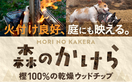 ウッドチップ 乾燥 樫の木100% 8kg 着火用 ウッドチップ 