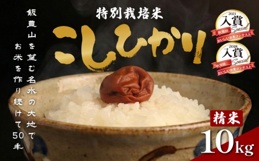 令和8年産 特別栽培米コシヒカリ 白米 10kg （5kg×2袋） 特栽米 新潟県産コシヒカリ 新潟米 新発田産 新潟 米 させ農園 新潟県 新発田市 sase002_202610_01