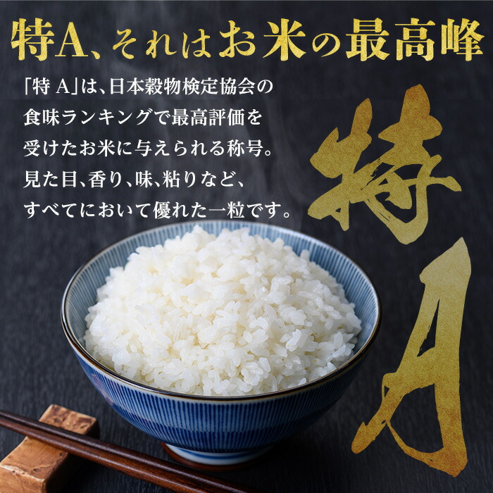 令和7年産 コシヒカリ 【 精米 】 1合｜  米 お米 令和7年産 厳選 特A コシヒカリ 白米 1合 静岡県産 国産 すぐ 届く スピード発送