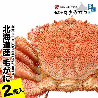 ふるさと納税 根室市 毛がに550g〜650g前後×2尾 C-25026