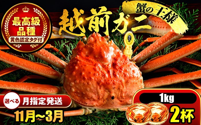 
            【先行予約】 【希望月指定可】 越前がに 1kg×2杯 / 蟹 ズワイガニ ずわいがに ボイル 冷蔵 小浜市 / まるほ商店 【配送不可地域：北海道・沖縄・離島】[BFCS031]
          