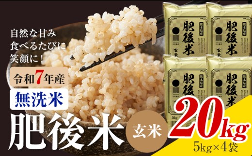 熊本県産 肥後米 無洗米 玄米 20kg 1袋5kg 米 お米 令和7年産 九州産 熊本県産 送料無料【30日以内に出荷予定（土日祝除く）】玄米 無洗米 米