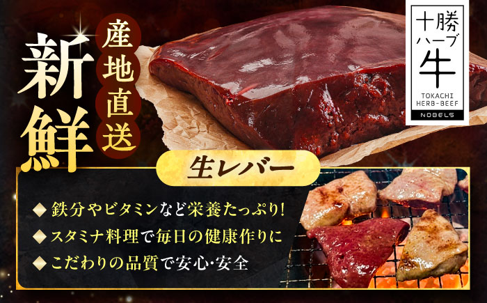 北海道 十勝 ハーブ牛 牛肉 生レバー ブロック 600g（200g×3） 《足寄町》【株式会社ノベルズ食品】 [BEAQ019] 牛肉 牛 肉 にく ニク レバー ブロック肉 焼肉 焼肉用 焼き肉 