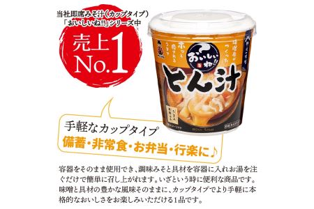 （WR73）神州一味噌 おいしいね！！ とん汁  60食(1食×6個×10） カップとん汁 インスタントとん汁 即席とん汁 本格的とん汁 人気とん汁 カップ味噌汁 インスタント味噌汁 即席味噌汁 簡単