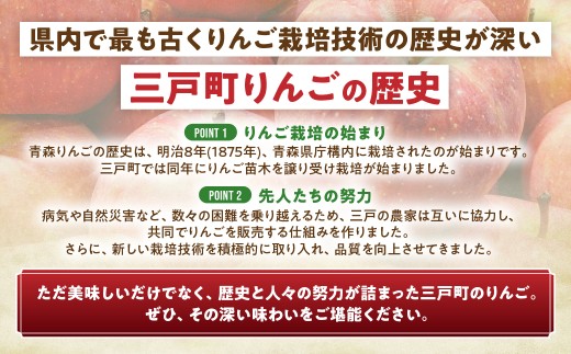 りんご【サンふじ】約5kg（12～20玉） 【2026年産・先行予約】★2026年11月下旬～12月上旬頃発送予定★ 青森県三戸町産 りんご サンふじ 2026年産 先行予約 サンふじりんご 旬 甘い 青森県三戸町 AK-16-010